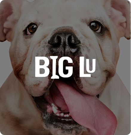 Big Lu