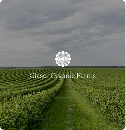 Glaser Organics Farms