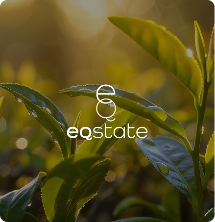 EQ state